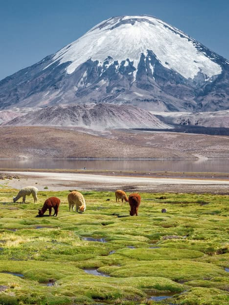 Chile