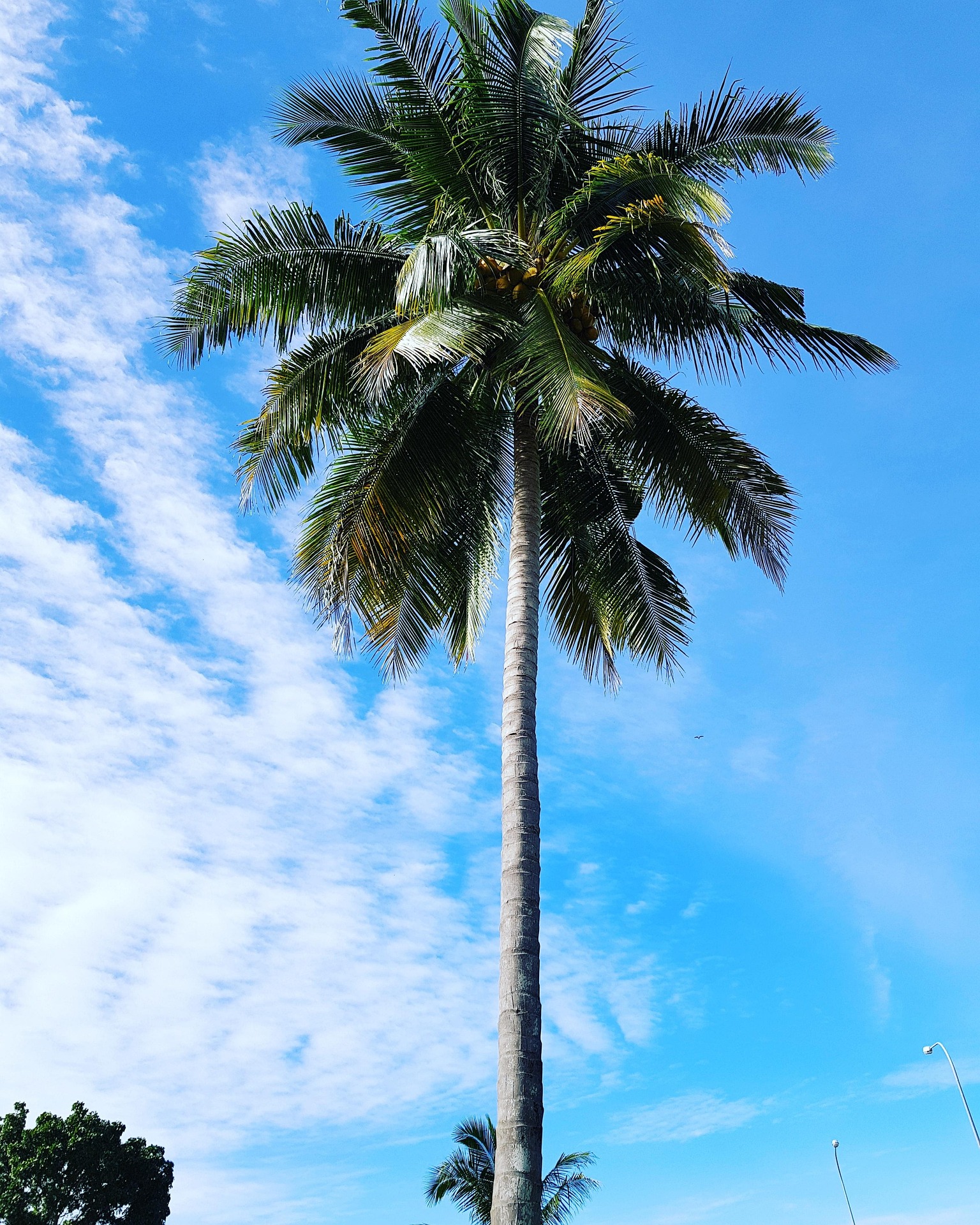 Nauru