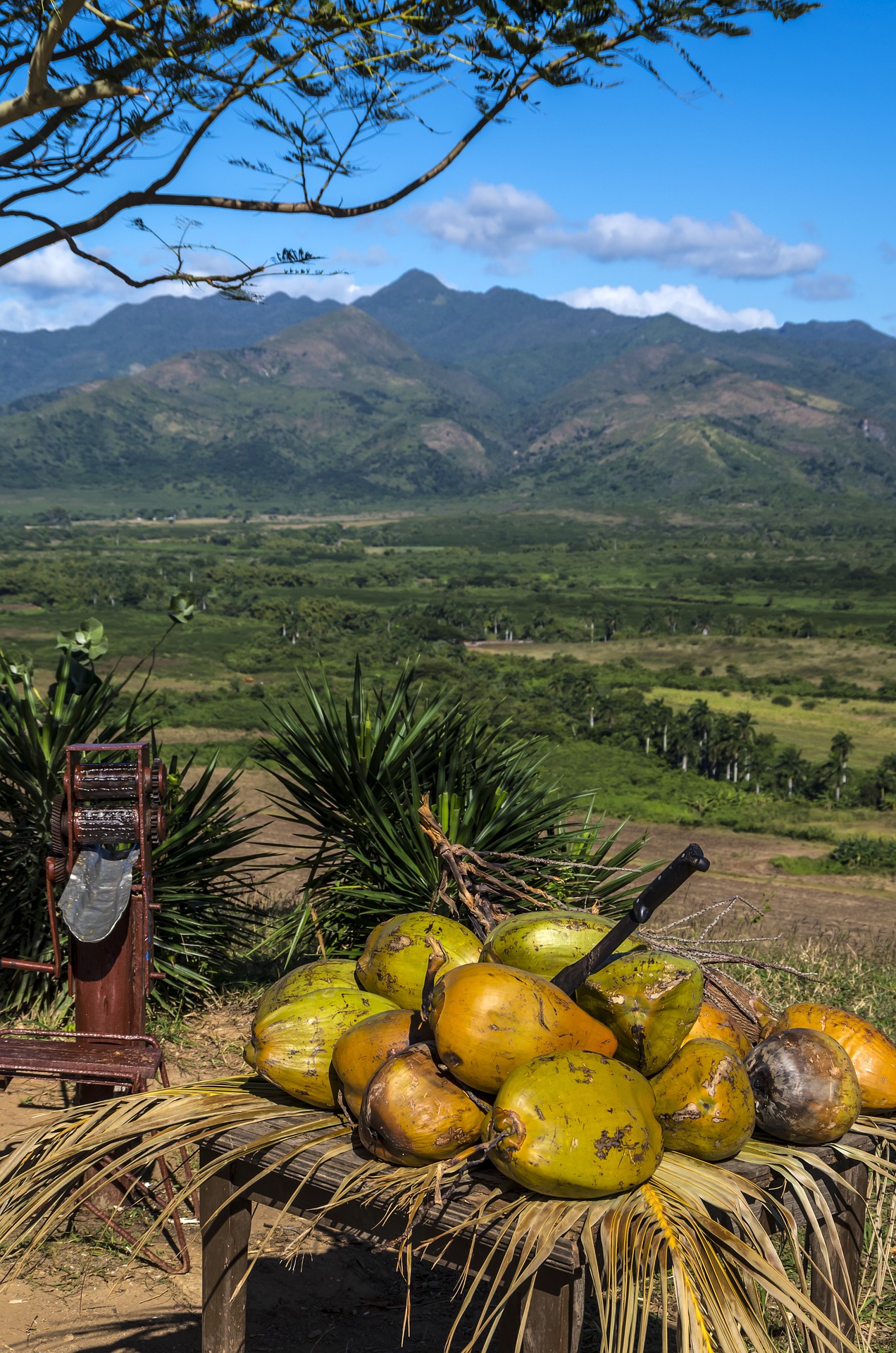Trinidad và Tobago