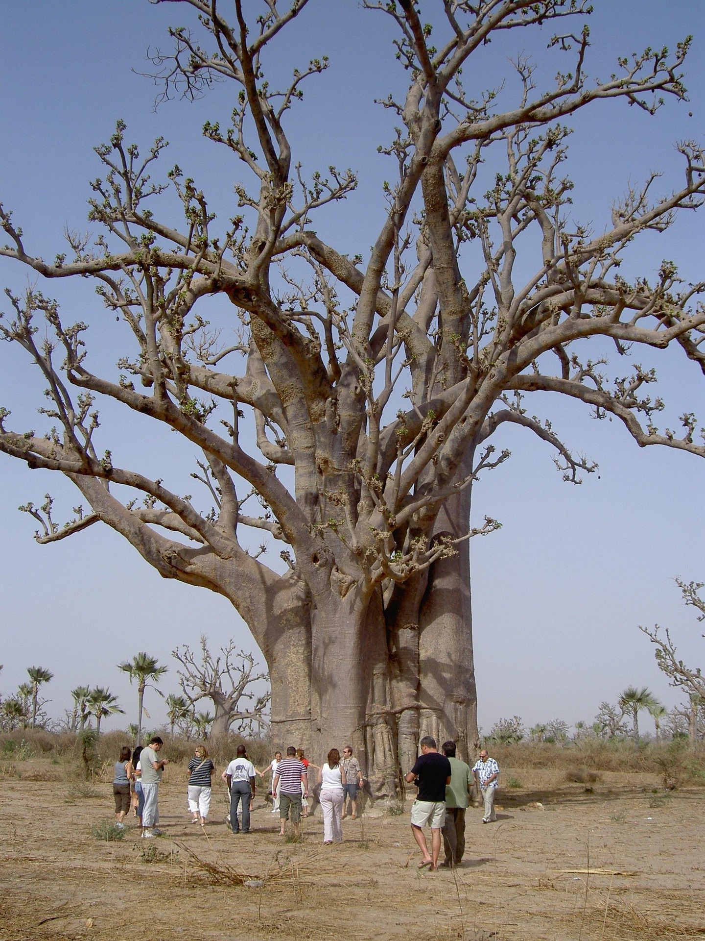 Senegal